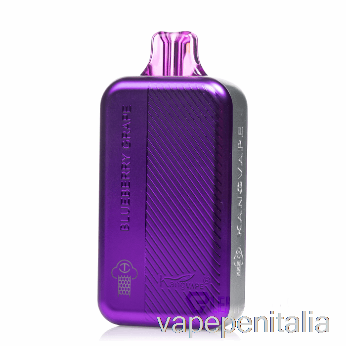 Vape In Italia Kangvape Tc8000 Uva Mirtillo Usa E Getta